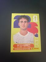 Panini FIFA World Cup Sticker NZL 14